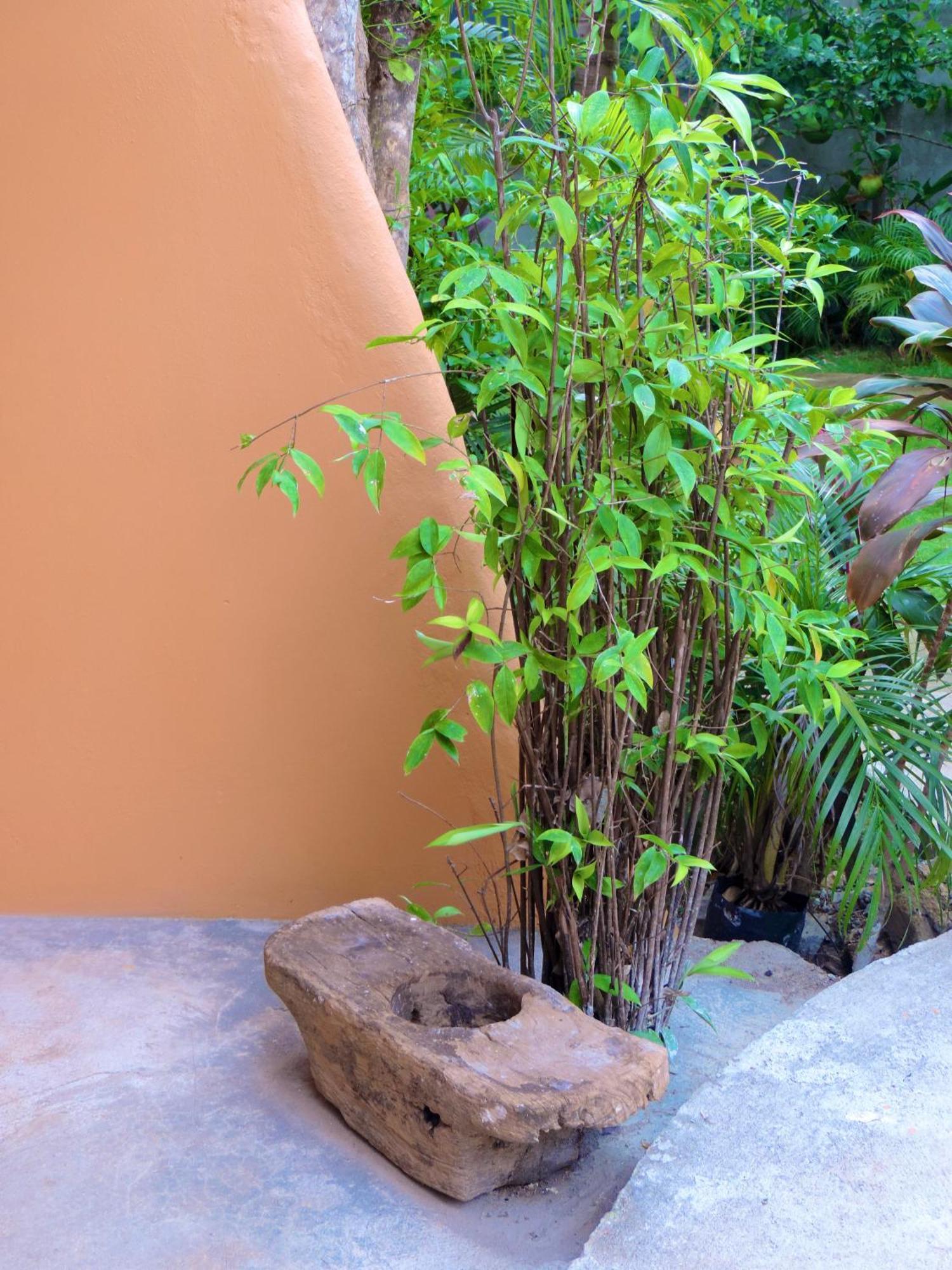 Chekesh Casa Hotel ซีคีฮอร์ ภายนอก รูปภาพ
