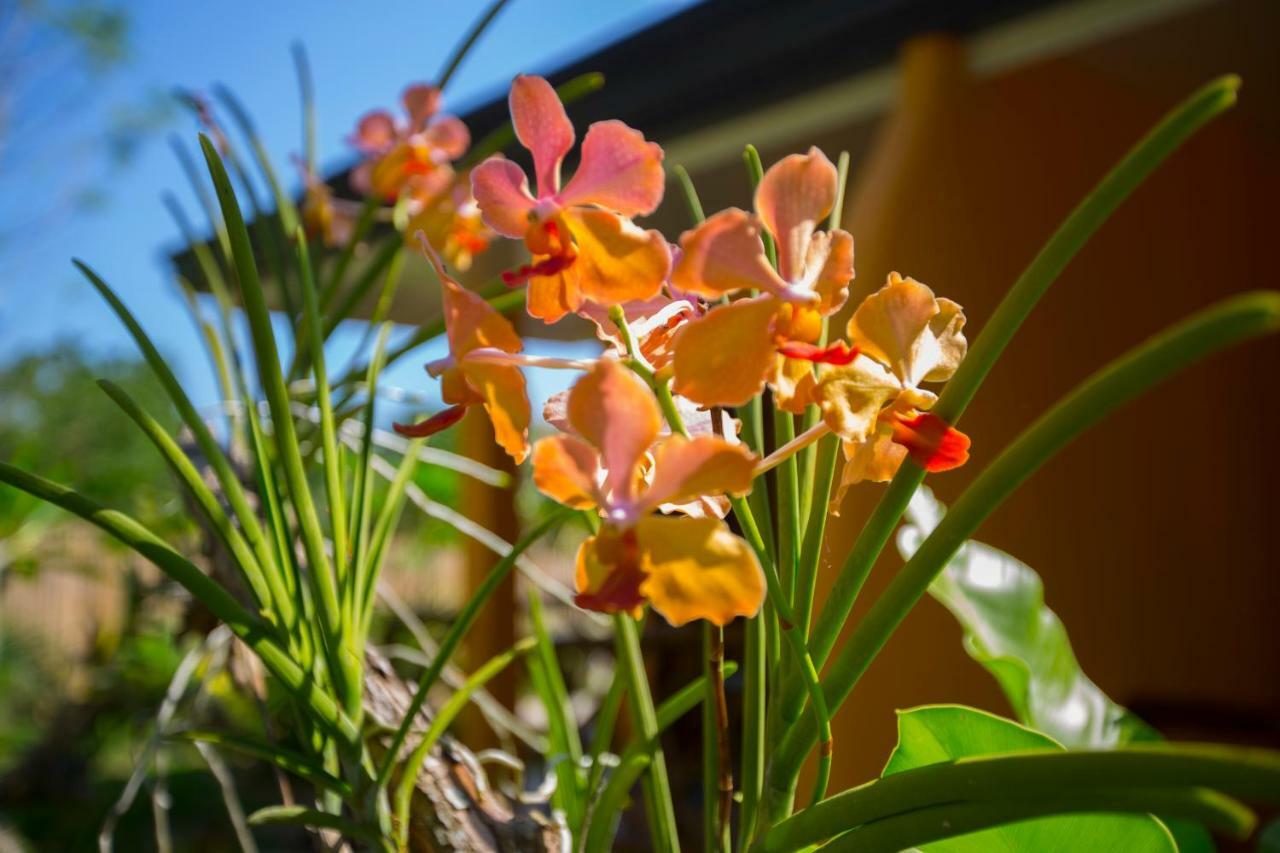 Chekesh Casa Hotel ซีคีฮอร์ ภายนอก รูปภาพ