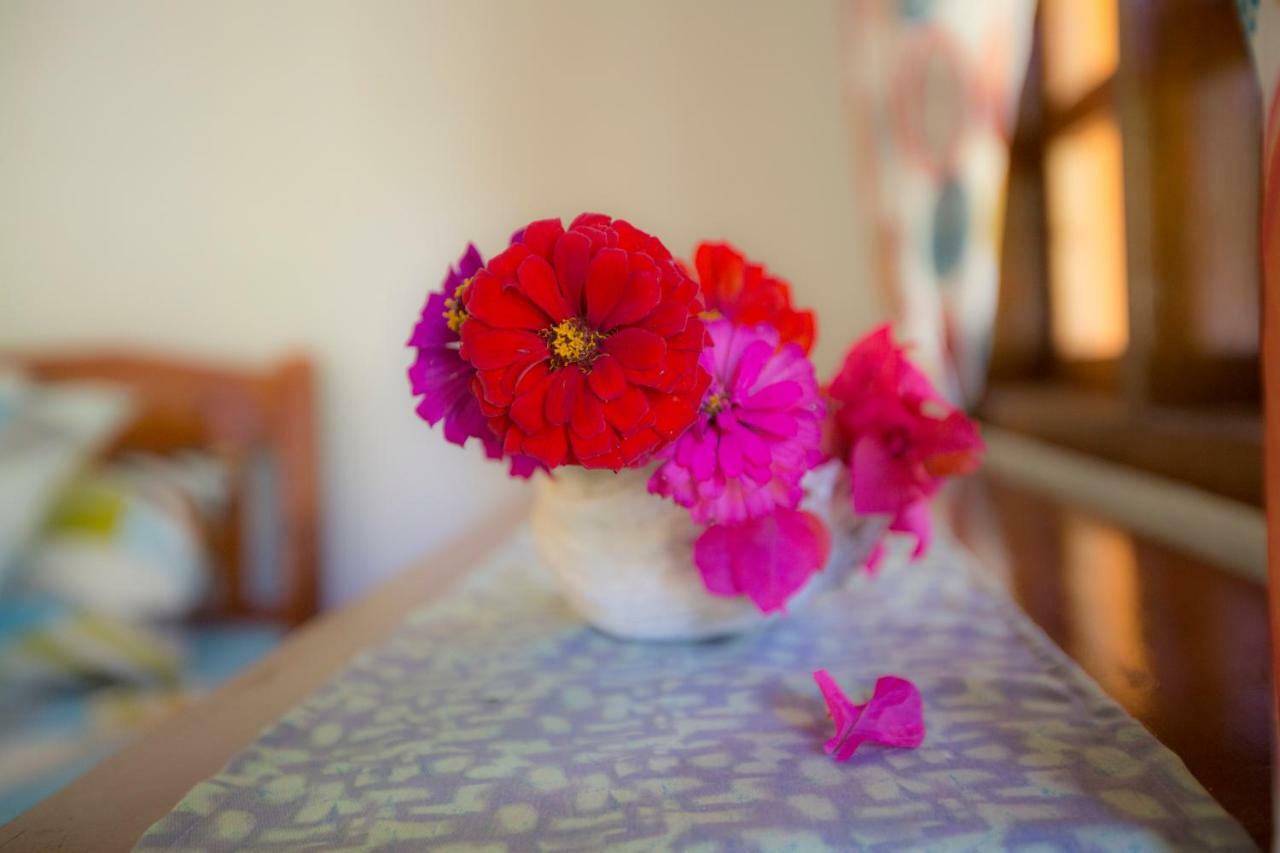 Chekesh Casa Hotel ซีคีฮอร์ ภายนอก รูปภาพ