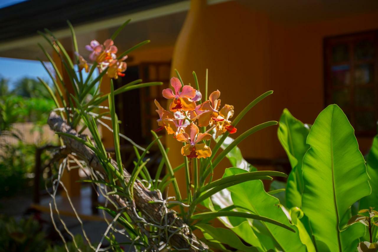 Chekesh Casa Hotel ซีคีฮอร์ ภายนอก รูปภาพ